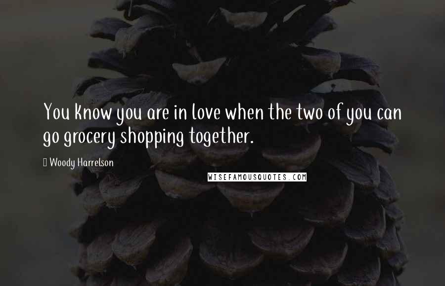 Woody Harrelson Quotes: You know you are in love when the two of you can go grocery shopping together.