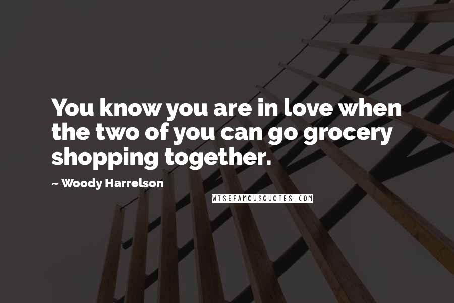 Woody Harrelson Quotes: You know you are in love when the two of you can go grocery shopping together.