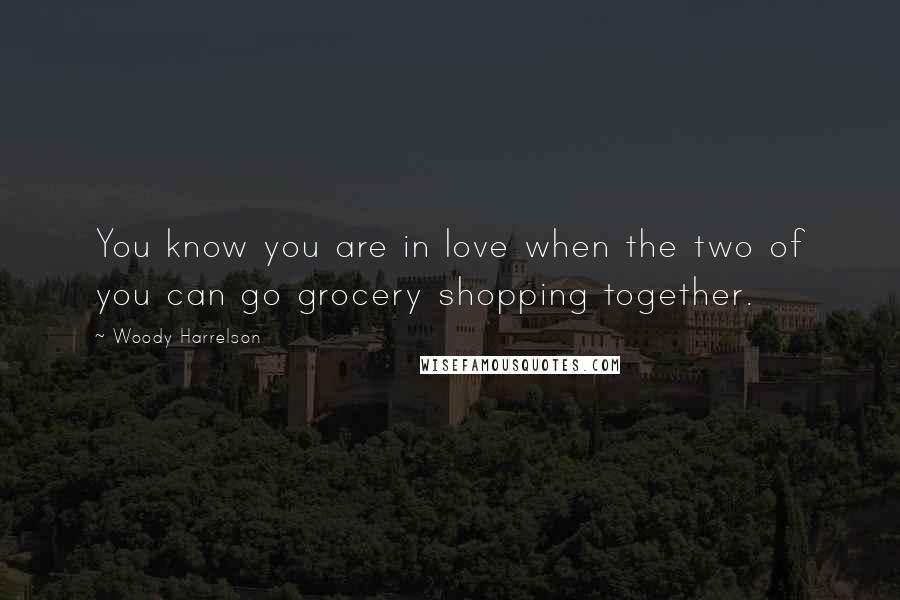 Woody Harrelson Quotes: You know you are in love when the two of you can go grocery shopping together.