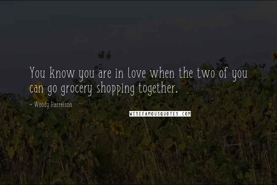 Woody Harrelson Quotes: You know you are in love when the two of you can go grocery shopping together.