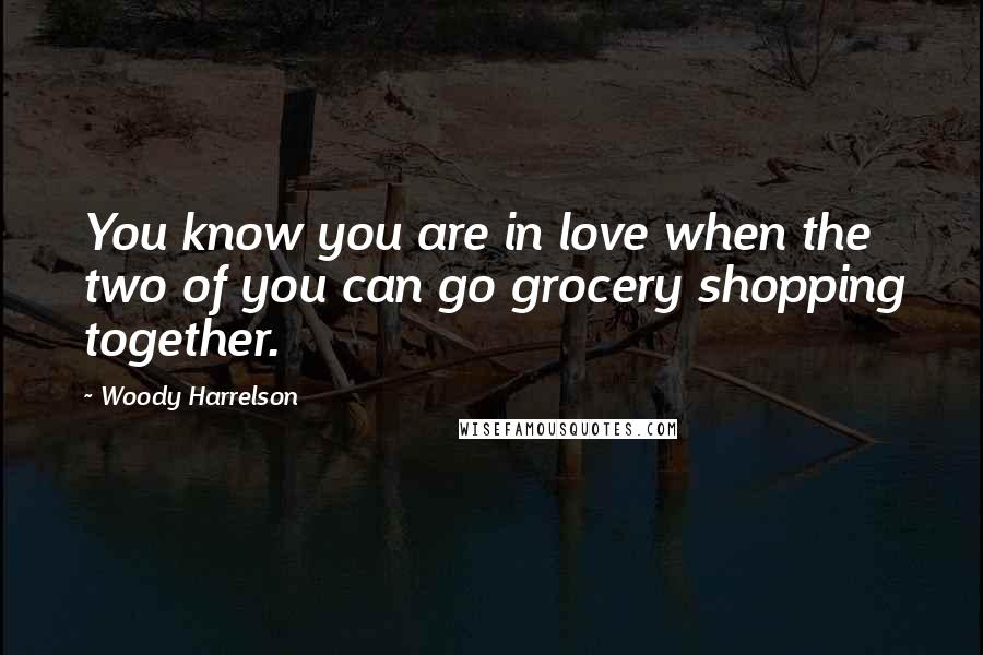 Woody Harrelson Quotes: You know you are in love when the two of you can go grocery shopping together.