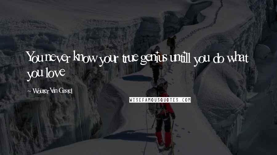 Wouter Van Gastel Quotes: You never know your true genius untill you do what you love