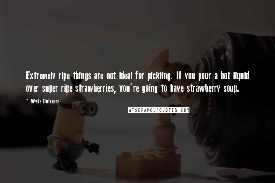Wylie Dufresne Quotes: Extremely ripe things are not ideal for pickling. If you pour a hot liquid over super ripe strawberries, you're going to have strawberry soup.