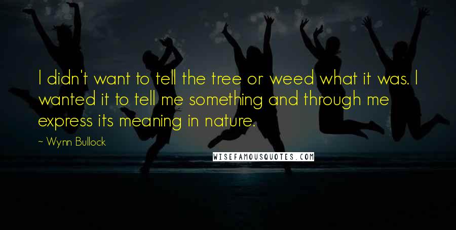 Wynn Bullock Quotes: I didn't want to tell the tree or weed what it was. I wanted it to tell me something and through me express its meaning in nature.