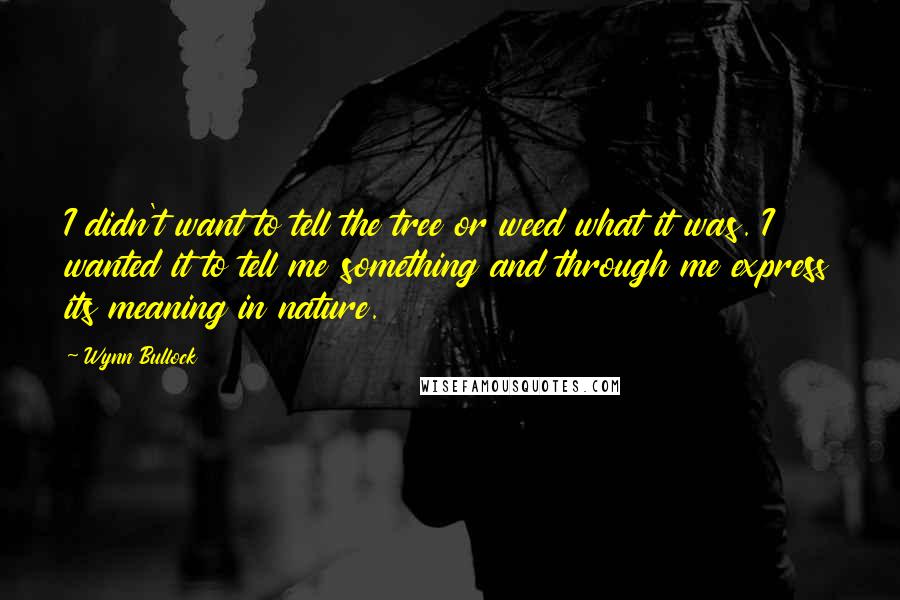 Wynn Bullock Quotes: I didn't want to tell the tree or weed what it was. I wanted it to tell me something and through me express its meaning in nature.