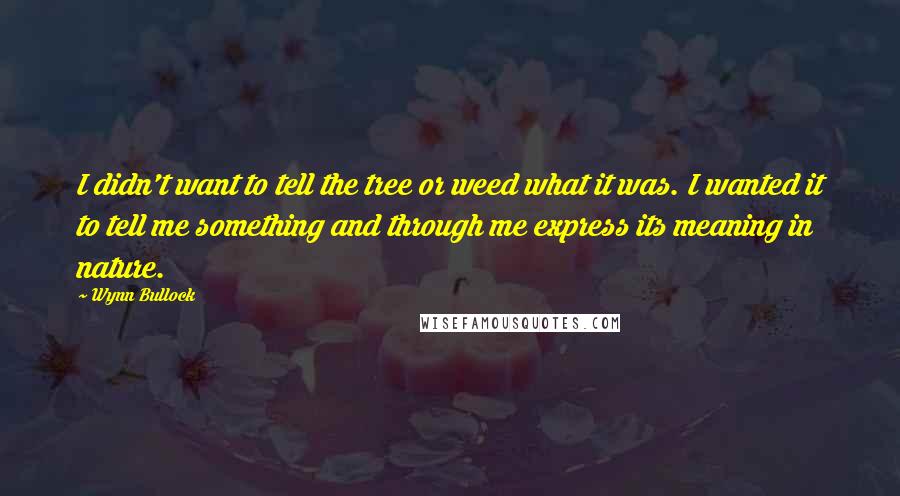 Wynn Bullock Quotes: I didn't want to tell the tree or weed what it was. I wanted it to tell me something and through me express its meaning in nature.