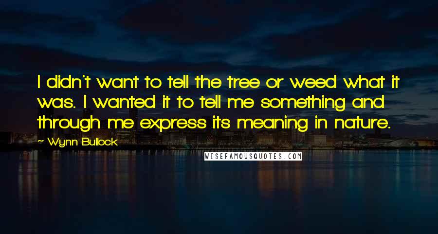 Wynn Bullock Quotes: I didn't want to tell the tree or weed what it was. I wanted it to tell me something and through me express its meaning in nature.