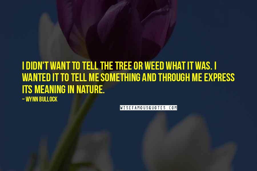 Wynn Bullock Quotes: I didn't want to tell the tree or weed what it was. I wanted it to tell me something and through me express its meaning in nature.