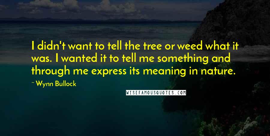 Wynn Bullock Quotes: I didn't want to tell the tree or weed what it was. I wanted it to tell me something and through me express its meaning in nature.