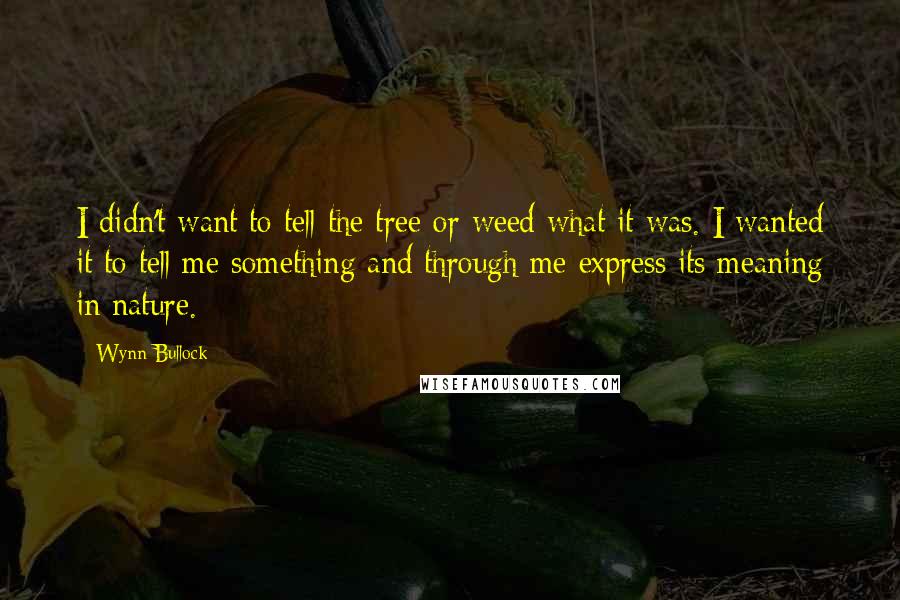 Wynn Bullock Quotes: I didn't want to tell the tree or weed what it was. I wanted it to tell me something and through me express its meaning in nature.