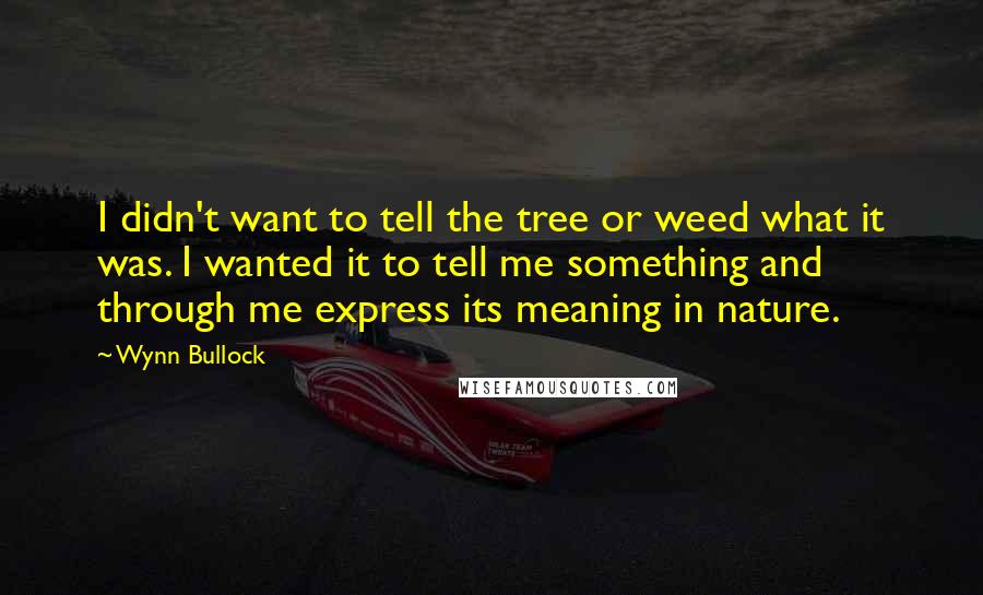 Wynn Bullock Quotes: I didn't want to tell the tree or weed what it was. I wanted it to tell me something and through me express its meaning in nature.