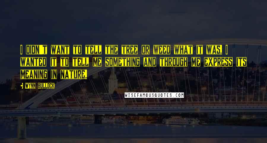 Wynn Bullock Quotes: I didn't want to tell the tree or weed what it was. I wanted it to tell me something and through me express its meaning in nature.