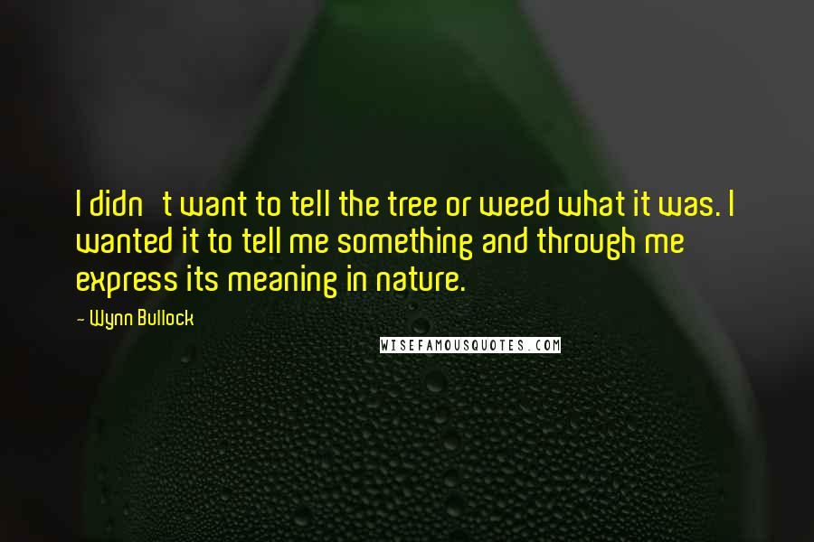 Wynn Bullock Quotes: I didn't want to tell the tree or weed what it was. I wanted it to tell me something and through me express its meaning in nature.