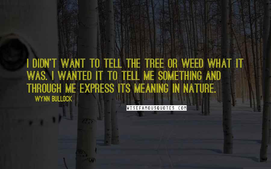 Wynn Bullock Quotes: I didn't want to tell the tree or weed what it was. I wanted it to tell me something and through me express its meaning in nature.