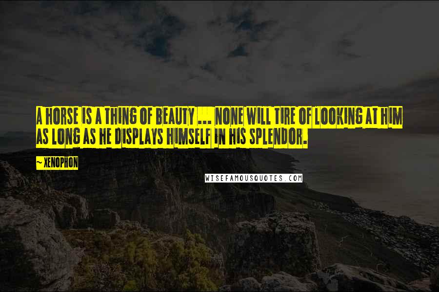 Xenophon Quotes: A horse is a thing of beauty ... none will tire of looking at him as long as he displays himself in his splendor.