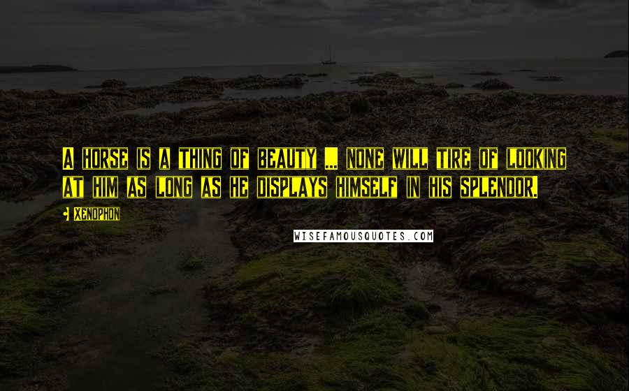 Xenophon Quotes: A horse is a thing of beauty ... none will tire of looking at him as long as he displays himself in his splendor.