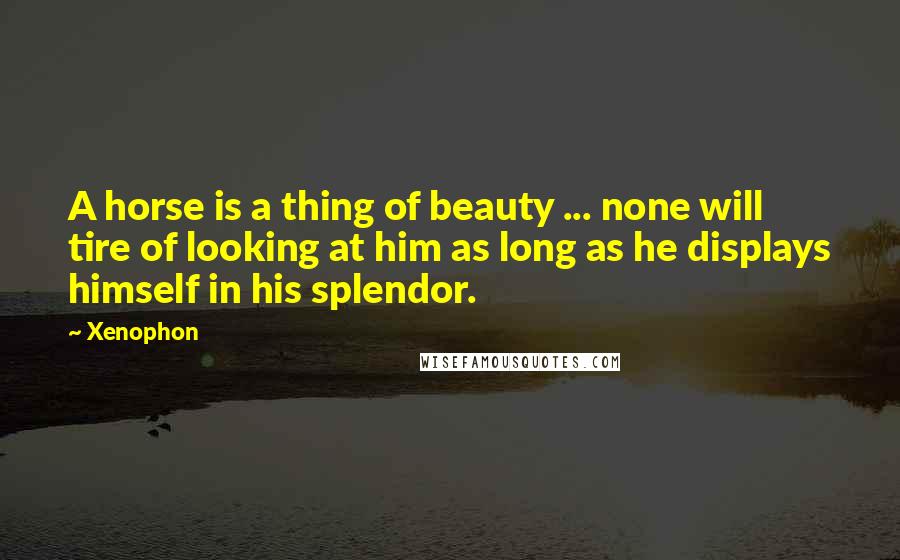 Xenophon Quotes: A horse is a thing of beauty ... none will tire of looking at him as long as he displays himself in his splendor.