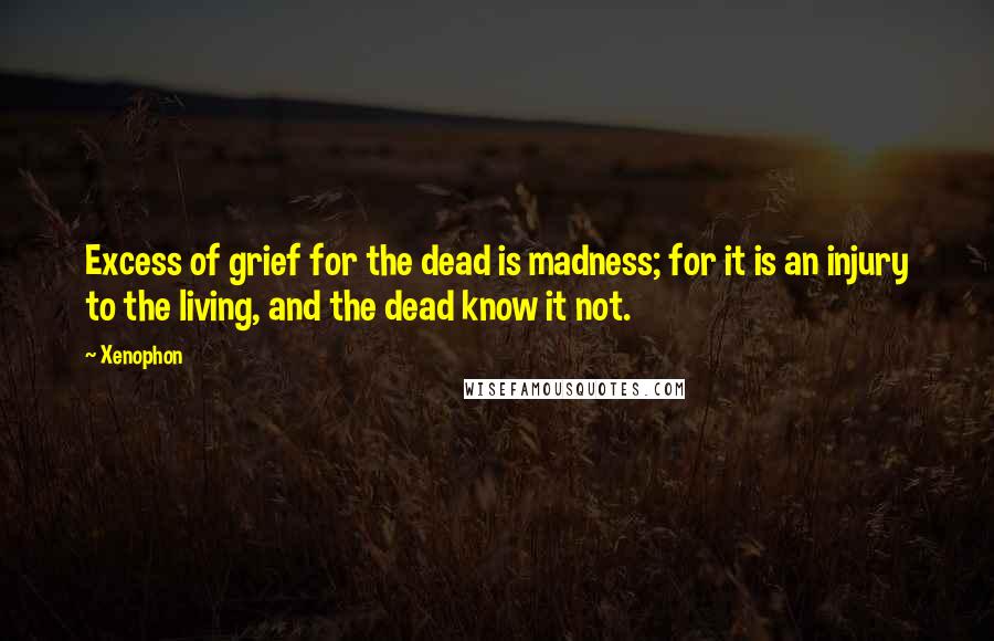 Xenophon Quotes: Excess of grief for the dead is madness; for it is an injury to the living, and the dead know it not.