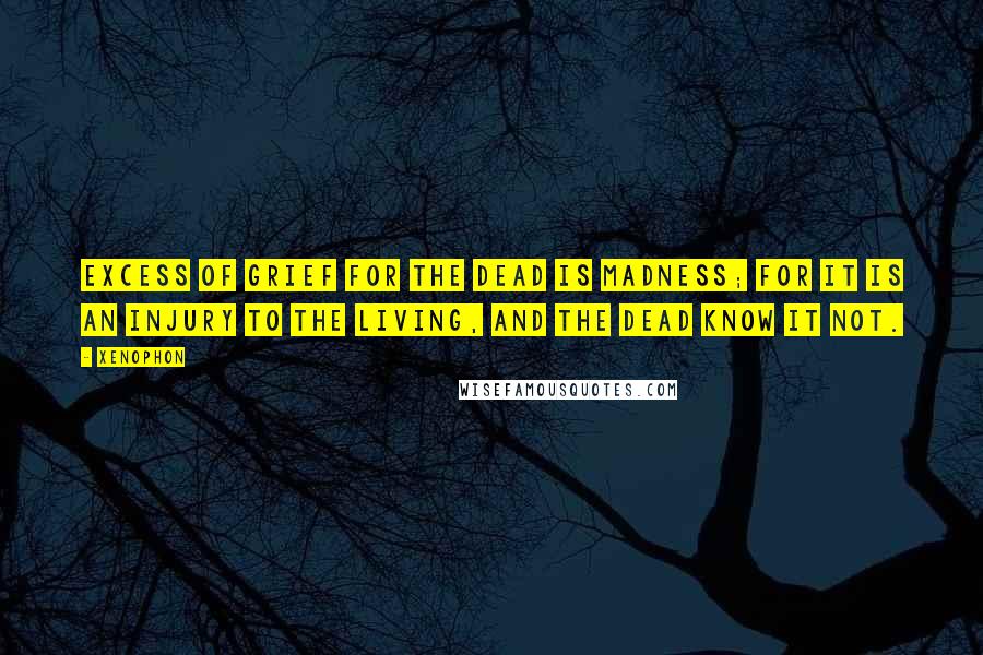 Xenophon Quotes: Excess of grief for the dead is madness; for it is an injury to the living, and the dead know it not.