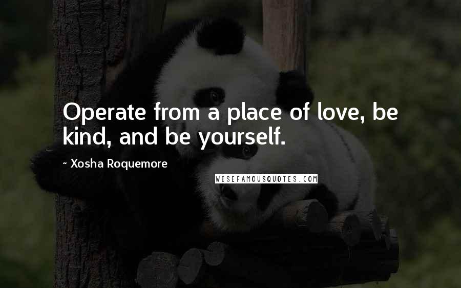 Xosha Roquemore Quotes: Operate from a place of love, be kind, and be yourself.