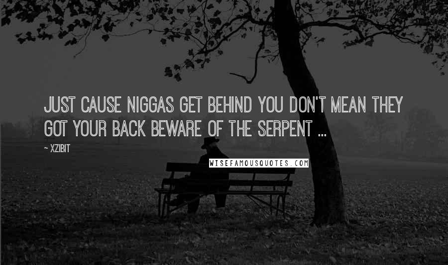 Xzibit Quotes: Just cause niggas get behind you don't mean they got your back Beware of the serpent ...