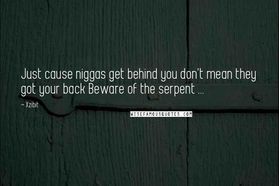 Xzibit Quotes: Just cause niggas get behind you don't mean they got your back Beware of the serpent ...