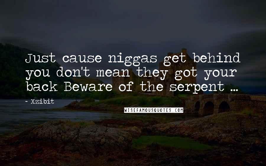 Xzibit Quotes: Just cause niggas get behind you don't mean they got your back Beware of the serpent ...