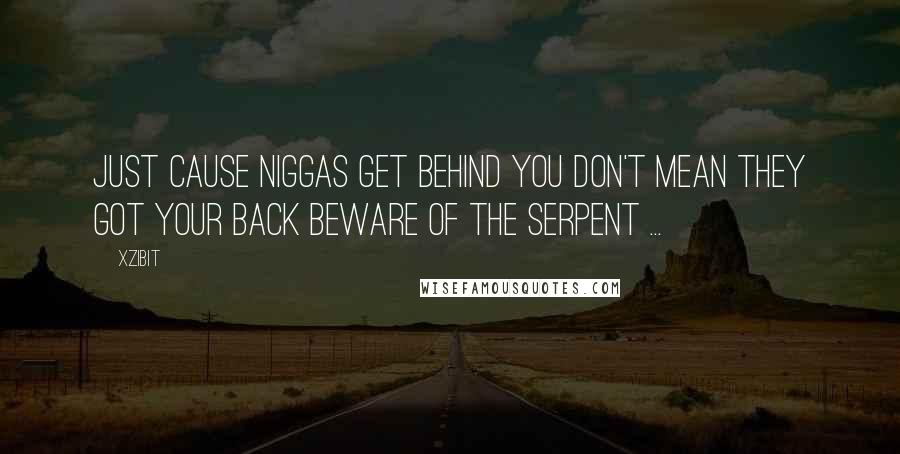 Xzibit Quotes: Just cause niggas get behind you don't mean they got your back Beware of the serpent ...