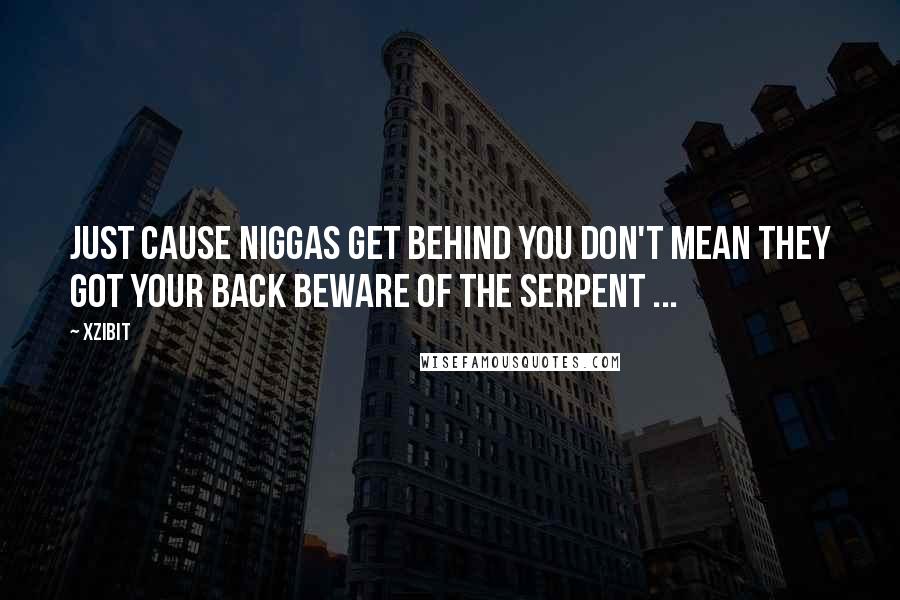 Xzibit Quotes: Just cause niggas get behind you don't mean they got your back Beware of the serpent ...