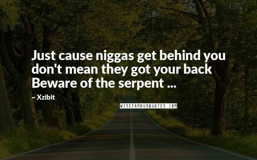 Xzibit Quotes: Just cause niggas get behind you don't mean they got your back Beware of the serpent ...