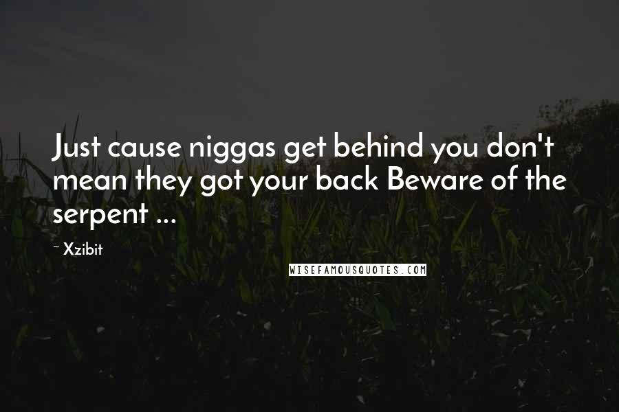 Xzibit Quotes: Just cause niggas get behind you don't mean they got your back Beware of the serpent ...