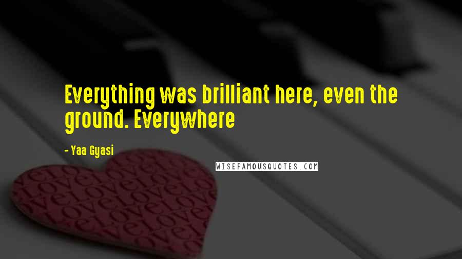 Yaa Gyasi Quotes: Everything was brilliant here, even the ground. Everywhere