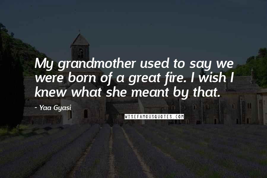 Yaa Gyasi Quotes: My grandmother used to say we were born of a great fire. I wish I knew what she meant by that.