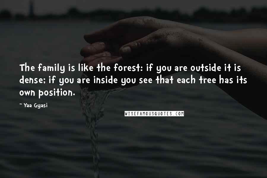 Yaa Gyasi Quotes: The family is like the forest: if you are outside it is dense; if you are inside you see that each tree has its own position.