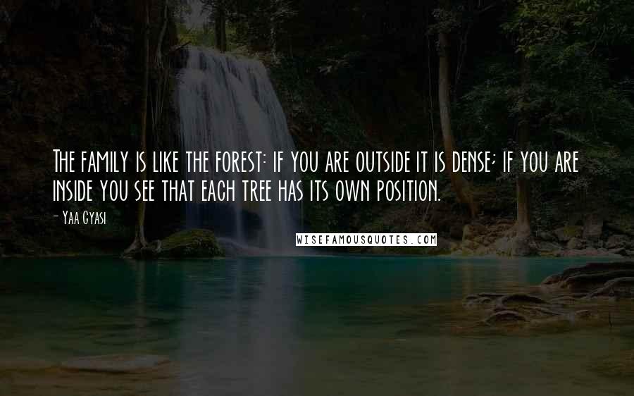 Yaa Gyasi Quotes: The family is like the forest: if you are outside it is dense; if you are inside you see that each tree has its own position.