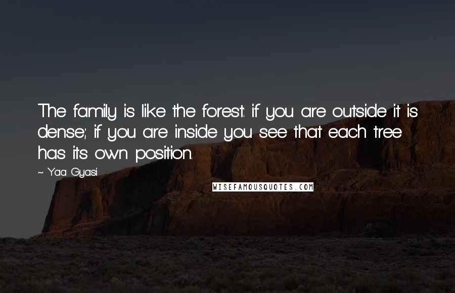 Yaa Gyasi Quotes: The family is like the forest: if you are outside it is dense; if you are inside you see that each tree has its own position.