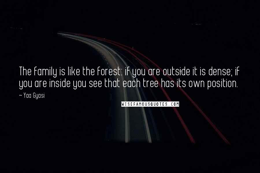 Yaa Gyasi Quotes: The family is like the forest: if you are outside it is dense; if you are inside you see that each tree has its own position.