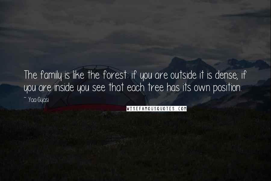 Yaa Gyasi Quotes: The family is like the forest: if you are outside it is dense; if you are inside you see that each tree has its own position.