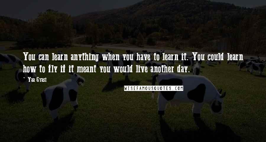 Yaa Gyasi Quotes: You can learn anything when you have to learn it. You could learn how to fly if it meant you would live another day.