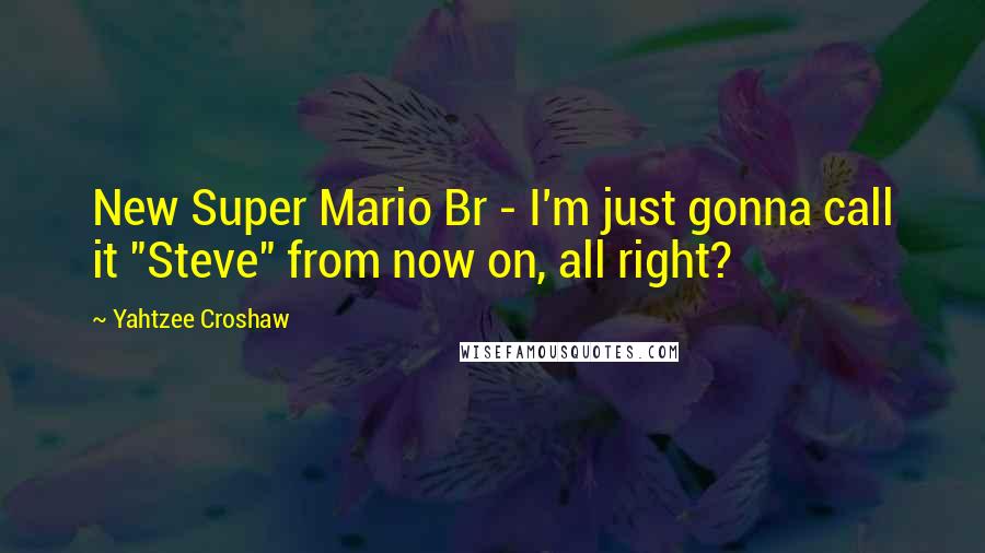 Yahtzee Croshaw Quotes: New Super Mario Br - I'm just gonna call it "Steve" from now on, all right?