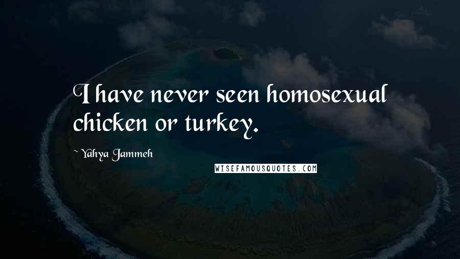 Yahya Jammeh Quotes: I have never seen homosexual chicken or turkey.