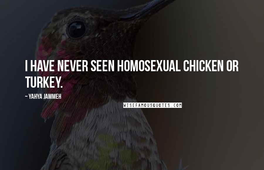 Yahya Jammeh Quotes: I have never seen homosexual chicken or turkey.