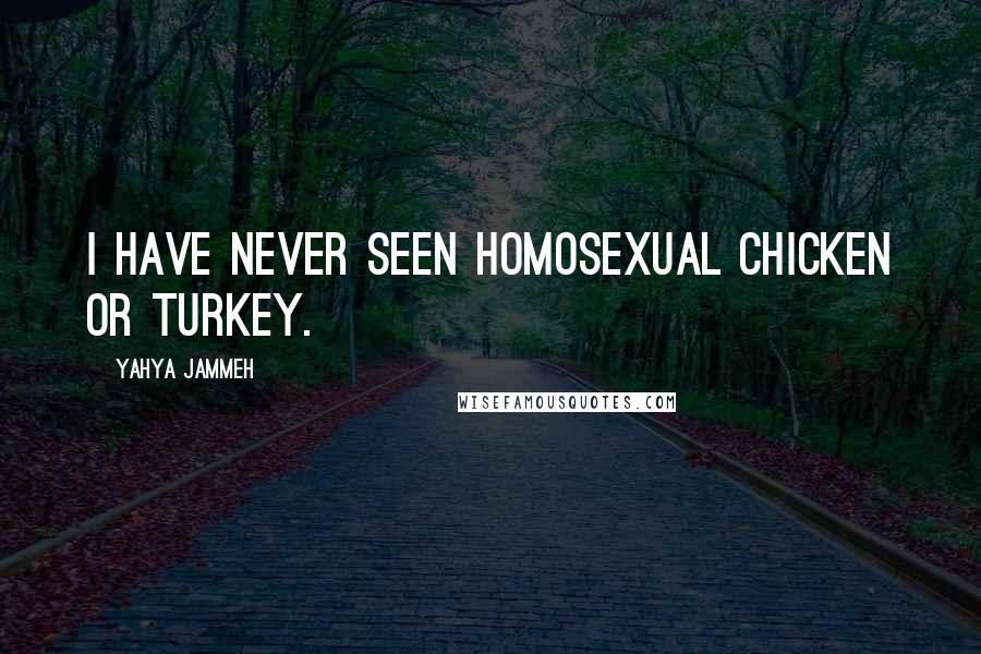 Yahya Jammeh Quotes: I have never seen homosexual chicken or turkey.