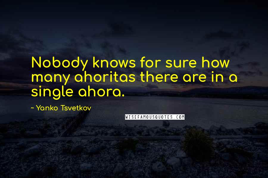 Yanko Tsvetkov Quotes: Nobody knows for sure how many ahoritas there are in a single ahora.