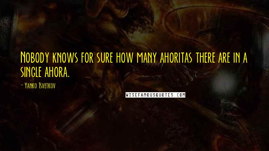 Yanko Tsvetkov Quotes: Nobody knows for sure how many ahoritas there are in a single ahora.