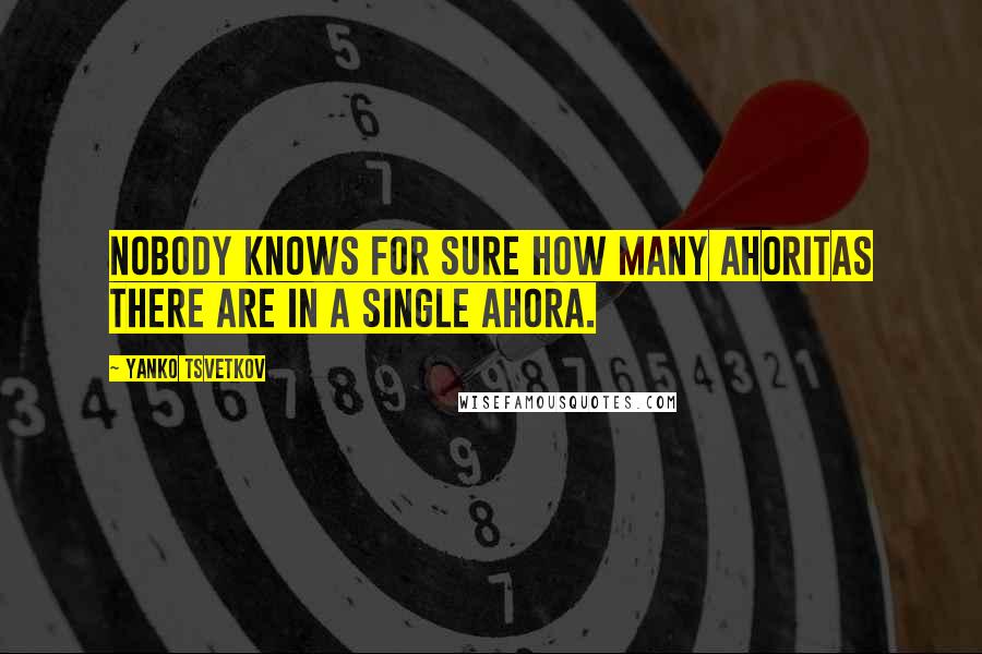 Yanko Tsvetkov Quotes: Nobody knows for sure how many ahoritas there are in a single ahora.