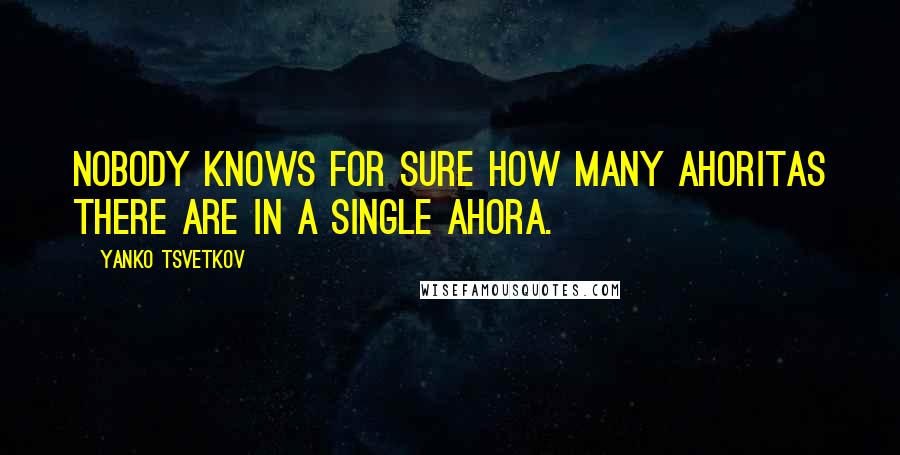 Yanko Tsvetkov Quotes: Nobody knows for sure how many ahoritas there are in a single ahora.