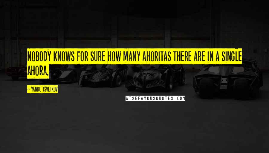 Yanko Tsvetkov Quotes: Nobody knows for sure how many ahoritas there are in a single ahora.