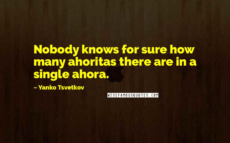 Yanko Tsvetkov Quotes: Nobody knows for sure how many ahoritas there are in a single ahora.