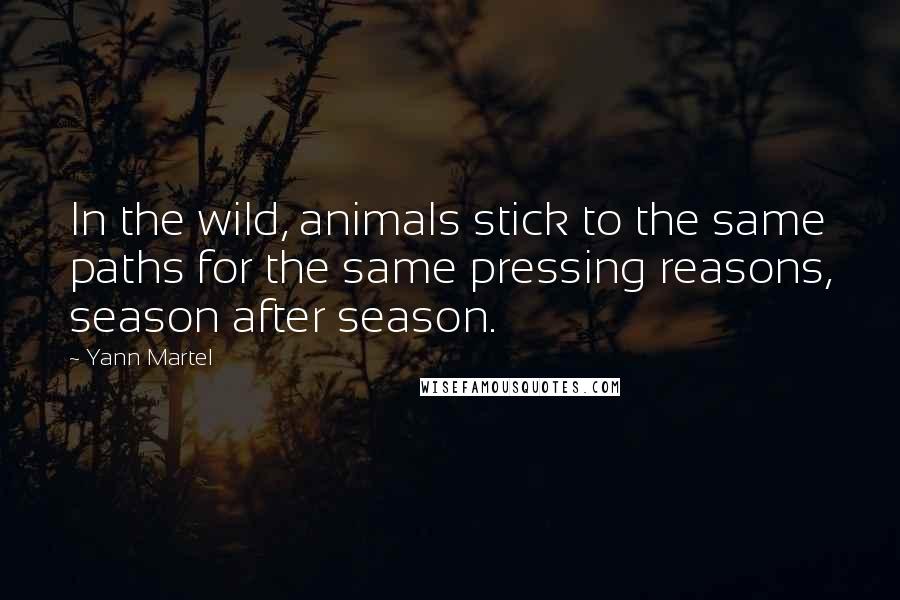 Yann Martel Quotes: In the wild, animals stick to the same paths for the same pressing reasons, season after season.